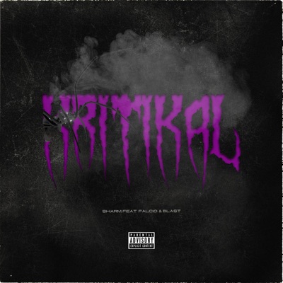 Kritikal (feat. Blast & Falcio) - Single