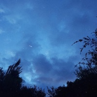 about your love (feat. Remghost) - Single - Lil Skele