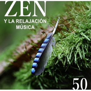 Zen y la Relajación Música: Sonidos Sanador para Meditación, Pensamiento Positivo, Reiki & Massage, Canción de Cuna para Dormir Profundamente
