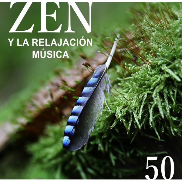 Zen y la Relajación Música: Sonidos Sanador para Meditación, Pensamiento Positivo, Reiki & Massage, Canción de Cuna para Dormir Profundamente
