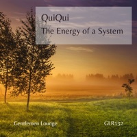 The Energy of a System - Single - Quiqui