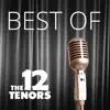 The 12 Tenors - Heal the World
