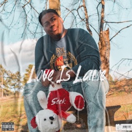 Side (feat. $Enquan) Seek