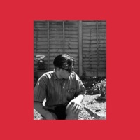 Flows (feat. Julia Romana) - Single - Ray Alex