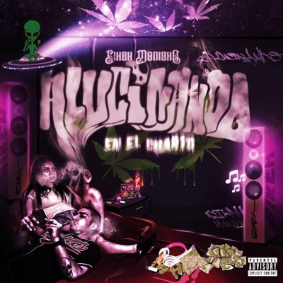 Alucinando en el Cuarto