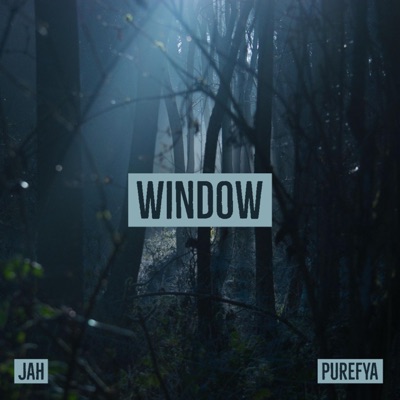 Window (feat. Purefya) - Single
