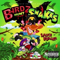 Birdz Hunt Snakes - Sauce Walka