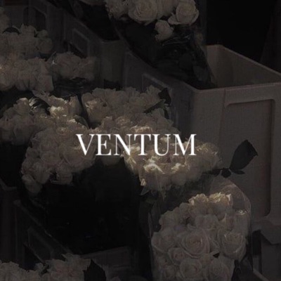 Ventum