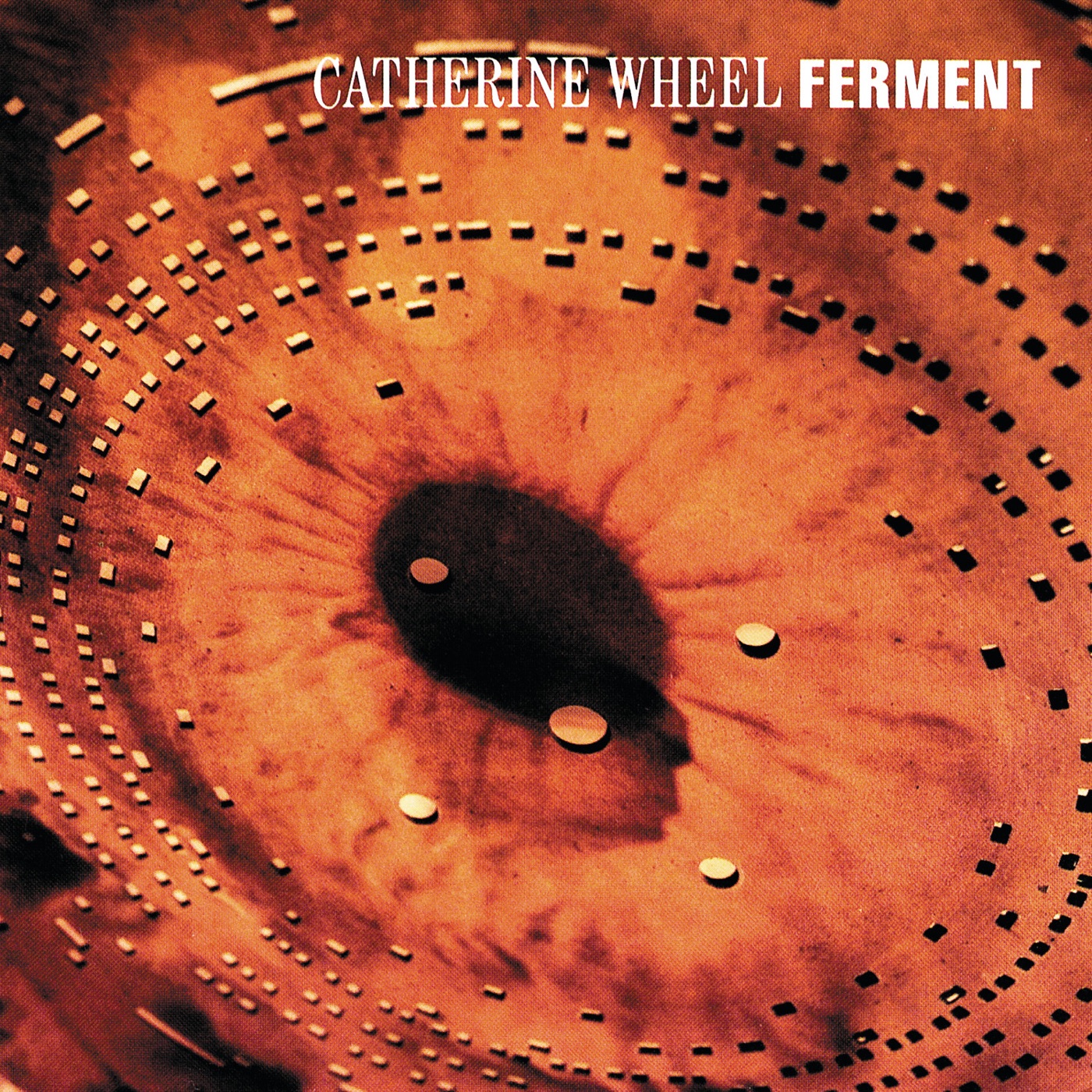 Ferment by Catherine Wheel