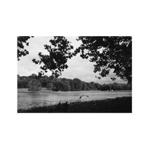 Aqueducts - Single