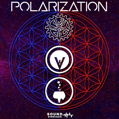 Polarization - Single