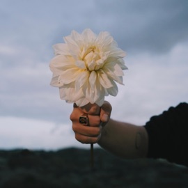 Niemand Anders (feat. Joël Domingos, Julius, Q'n, Massi & DADA) Tycho Poort