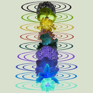 This is Solfeggio (Sound Bath Healing Frequencies)