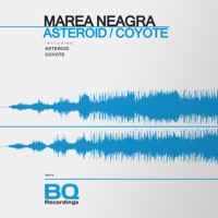 Asteroid / Coyote - Single - Marea Neagra