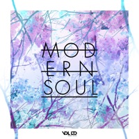 Modern Soul 4 LP - Arcatype, dBridge & Foreign Concept