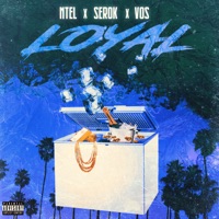 Loyal (feat. N-TEL, SEROK & Vos) - Single - Die Lit!