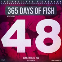 Something to You (feat. Figure 8) - Single - The Antelope Fishermen