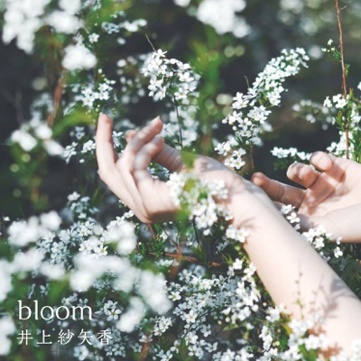 bloom - Single
