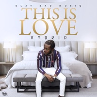 This Is Love - Single - Vybrid