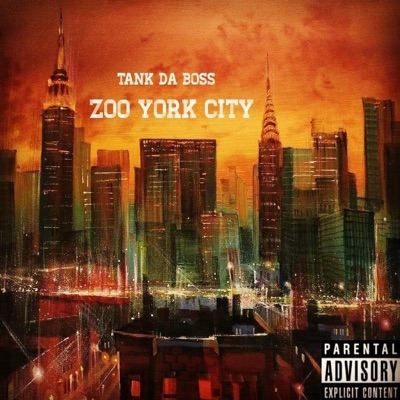 Zoo York City