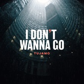 I Don't Wanna Go artwork