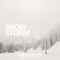 Snow Storm (feat. Maria Marcus) - Single