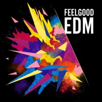 Feelgood EDM - Brian Cua, Roman Raithel & Cyril Sorongon