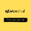 Never Give You Up - Single