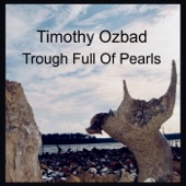 Timothy Ozbad - Life