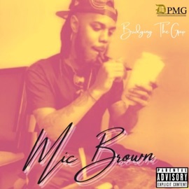 Break It Down Mic Brown