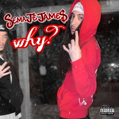 Why? - Single
