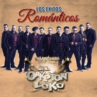Bachata Rosa