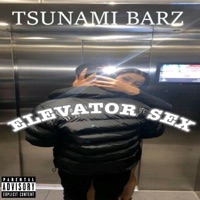 Elevator Sex - Single - Tsunami Barz