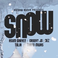 Snow (feat. Groovy Jo, Asum Garvey, TULIA, Thayu Mwas & DEZ) - Single - Hotbox Music