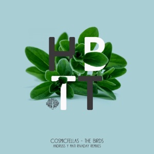 The Birds - Single