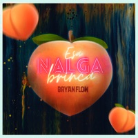 Esa Nalga Brinca - Single - DJ Bryanflow