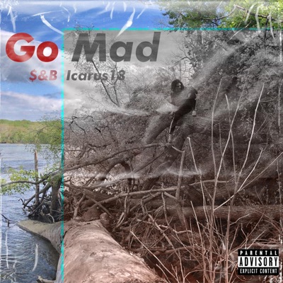 Go Mad - Single
