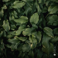 Shade - Single - Poldoore