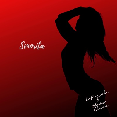 Señorita - Single