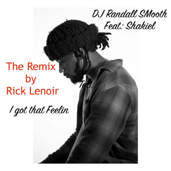 I Got That Feelin-Remix (feat. Shakiel Smith) - Single