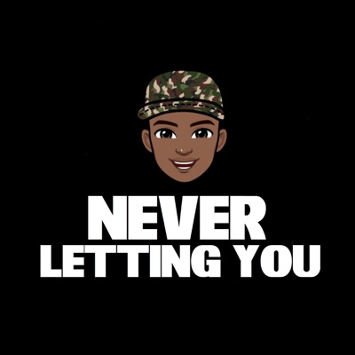 Never Letting You - Single