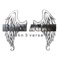 The Armour (feat. Saagar & D-Rock) - Born Again lyrics