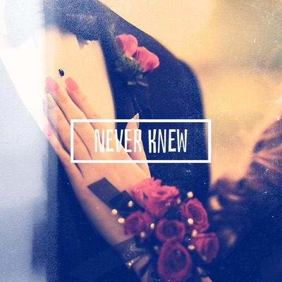 Never Knew - Single