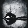 Maze Of Feelings - Cold Sun of Borrowed Tomorrow