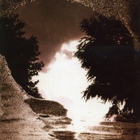 Sad Lovers & Giants - Strange Orchard