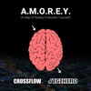 A.M.O.R.E.Y. (A Map of Reality Embodies Yourself) - Single