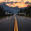 Where You Going (feat. Keeneng) - Single