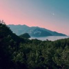 Raspberry - Reminiscence