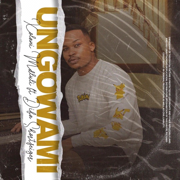 Ungowami (feat. Diba Shortsteiger)