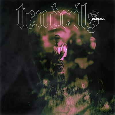 Tendrils - Single